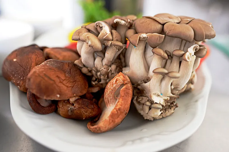 Ceviche de Cogumelo:opção saudável que celebra o Dia Mundial da Saúde