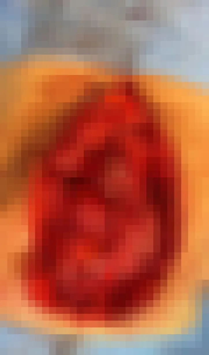 Bolsonaro divulgou imagem forte do corpo