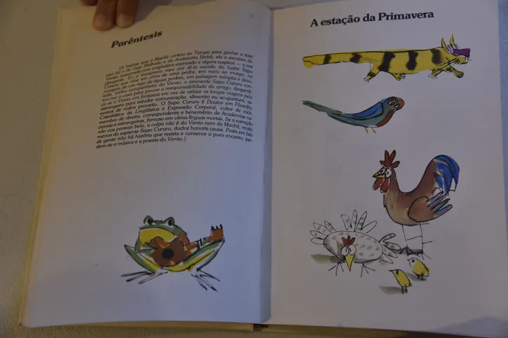 Ilustrações de ‘O gato Malhado e a andorinha Sinhá’