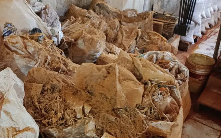 Fezes de ratos são encontradas em fábricas de temperos na Bahia