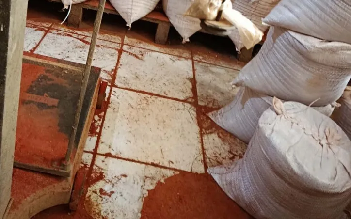 Fezes de ratos são encontradas em fábricas de temperos na Bahia