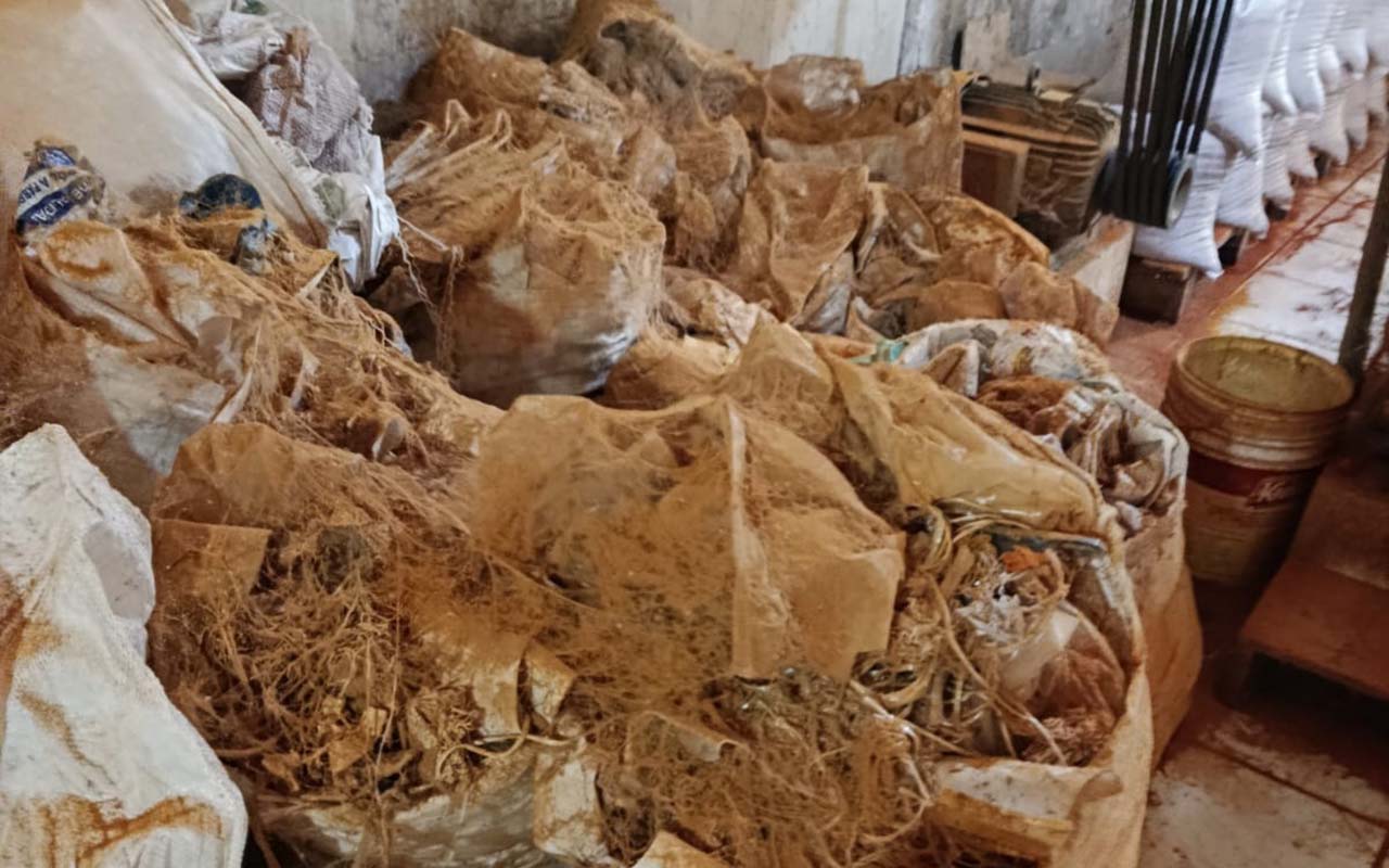 Fezes de ratos são encontradas em fábricas de temperos na Bahia