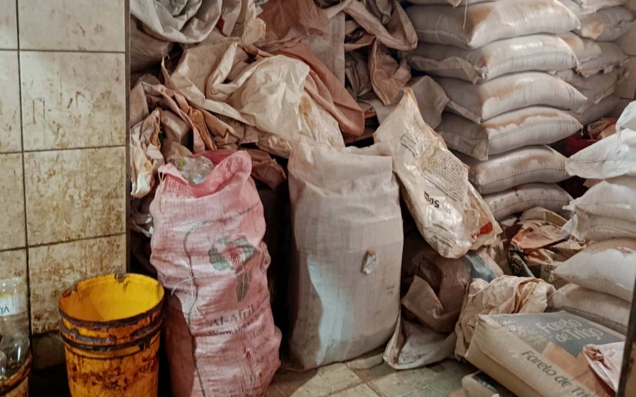 Fezes de ratos são encontradas em fábricas de temperos na Bahia