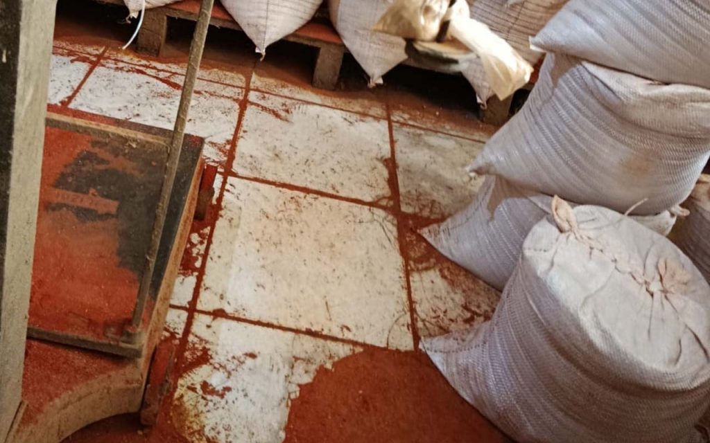 Fezes de ratos são encontradas em fábricas de temperos na Bahia