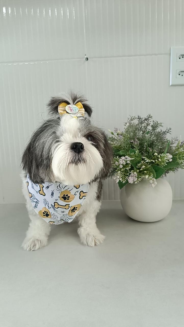 Adoção salva matrizes de exploração e maus tratos