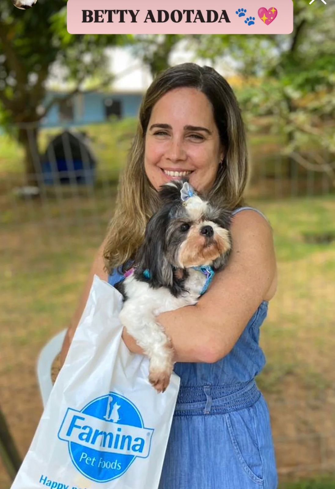 Adoção salva matrizes de exploração e maus tratos