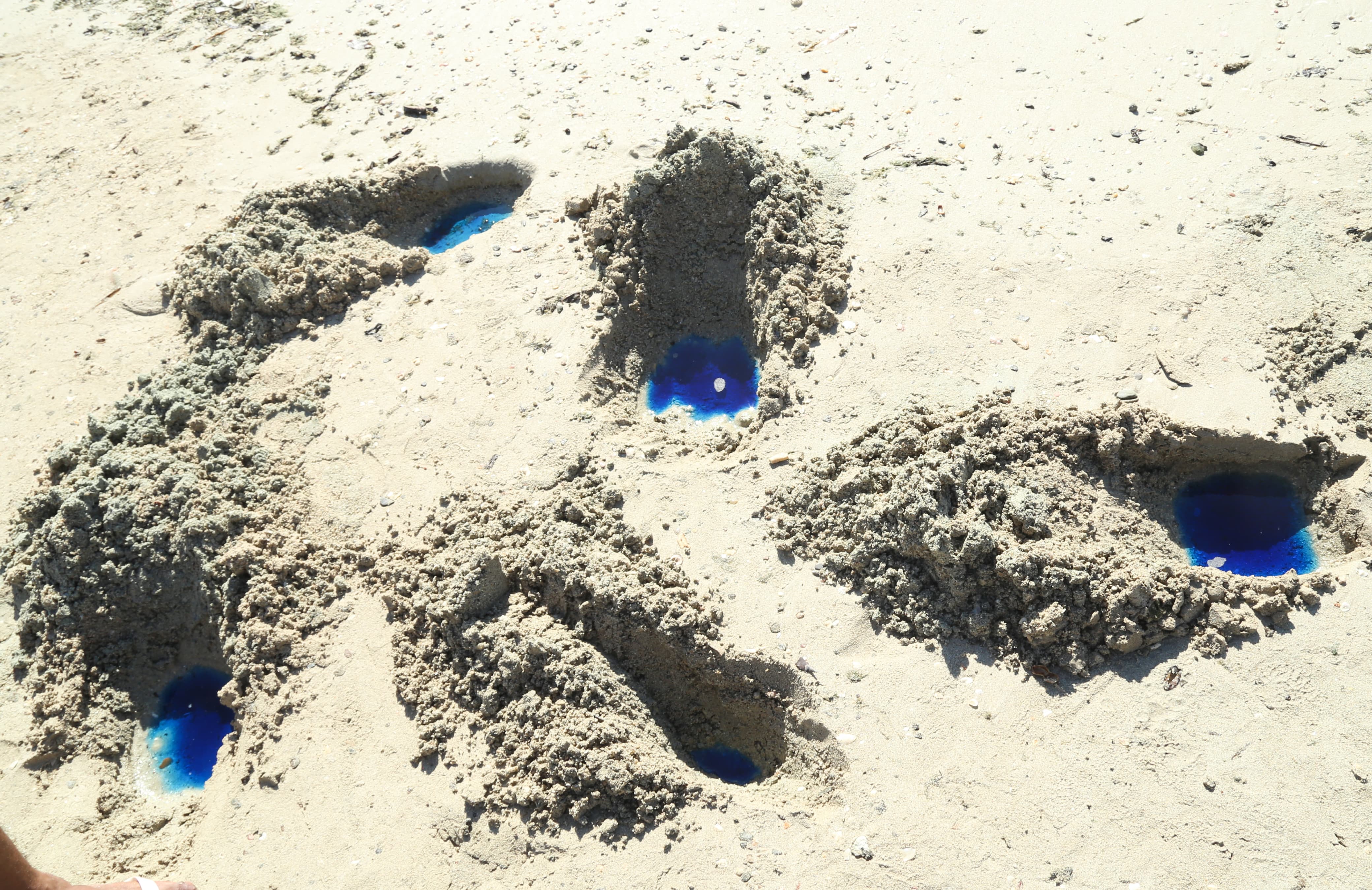 Moradores denunciam líquido estranho e morte de peixes