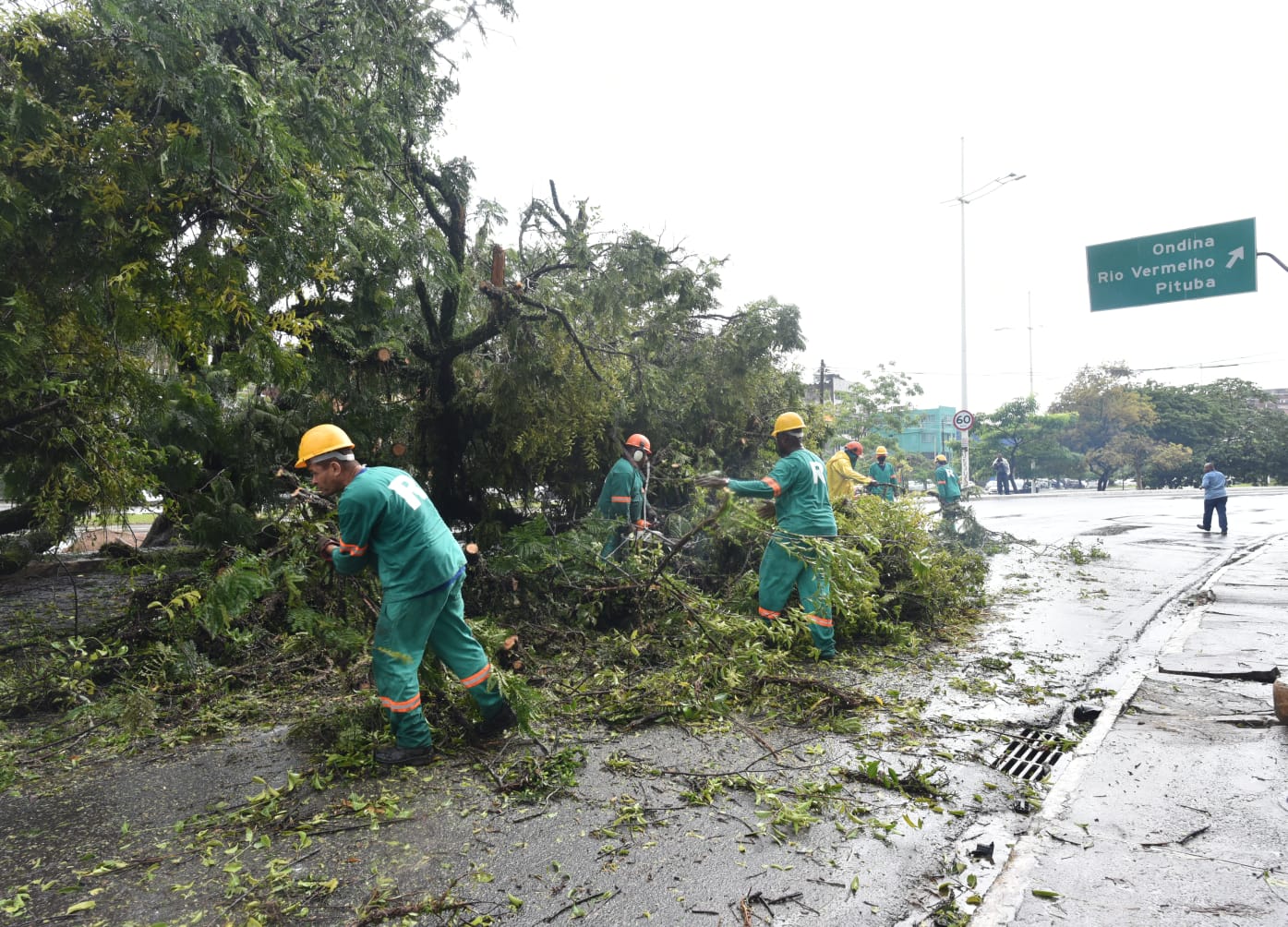 Árvore caída em Salvador
