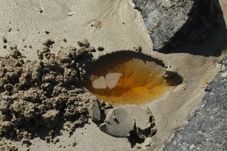 Praia de São Tomé de Paripe, em Salvador