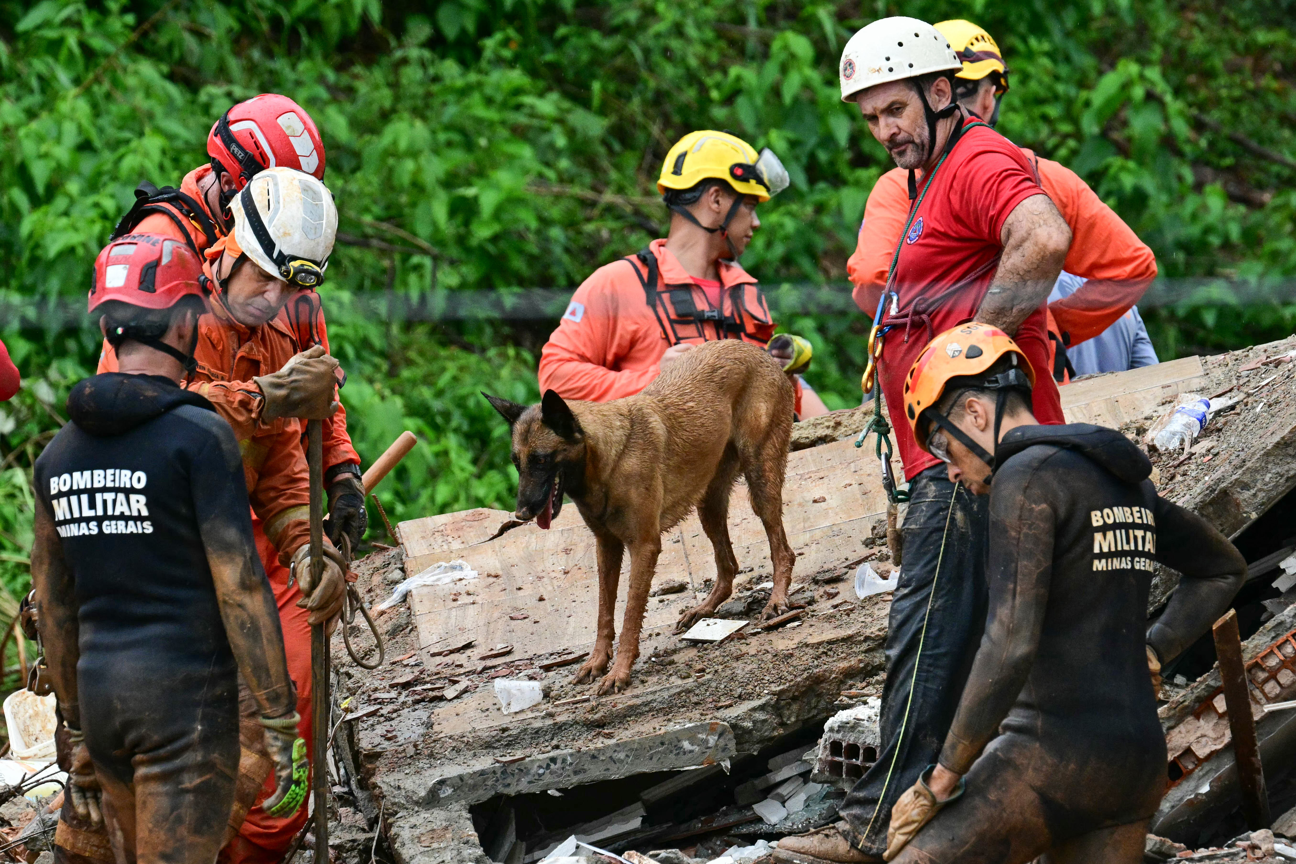 Bombeiros e seu cão procuram vítimas do deslizamento de terra