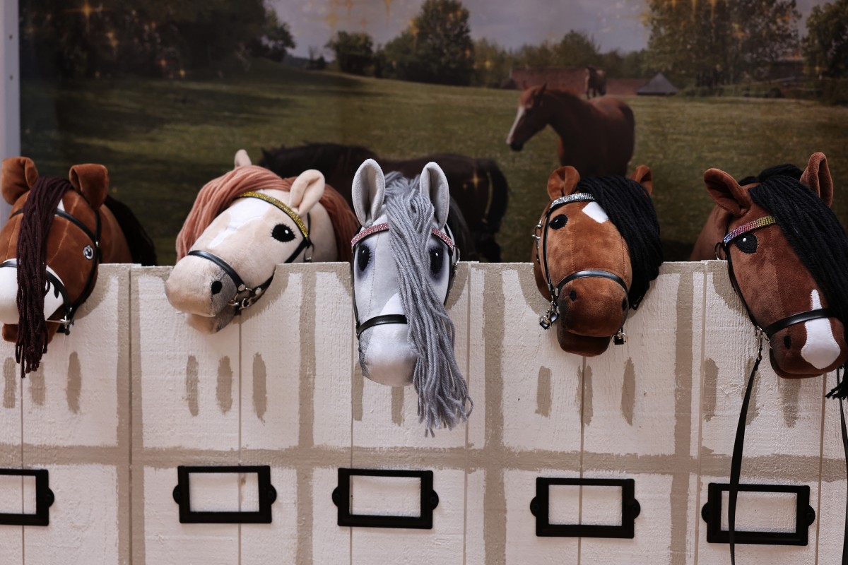 Esta fotografia mostra cavalos de pau expostos durante o Campeonato Francês de Hobby Horse de 2026, organizado pela Associação Francesa de Hobby Horse em Saint-Chef, no centro-leste da França, em 22 de agosto de 2026