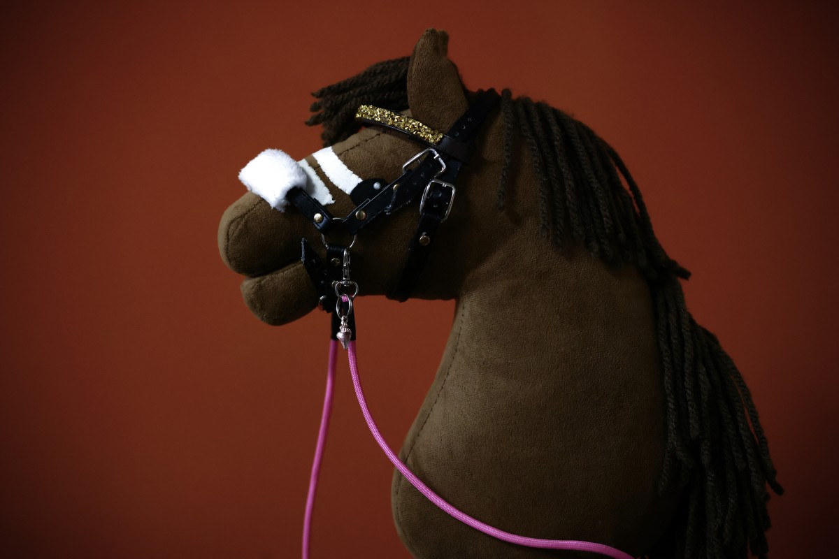 Esta fotografia mostra um cavalinho de pau em exibição durante o Campeonato Francês de Hobby Horse de 2026, organizado pela Associação Francesa de Hobby Horse em Saint-Chef, no centro-leste da França, em 22 de agosto de 2026.