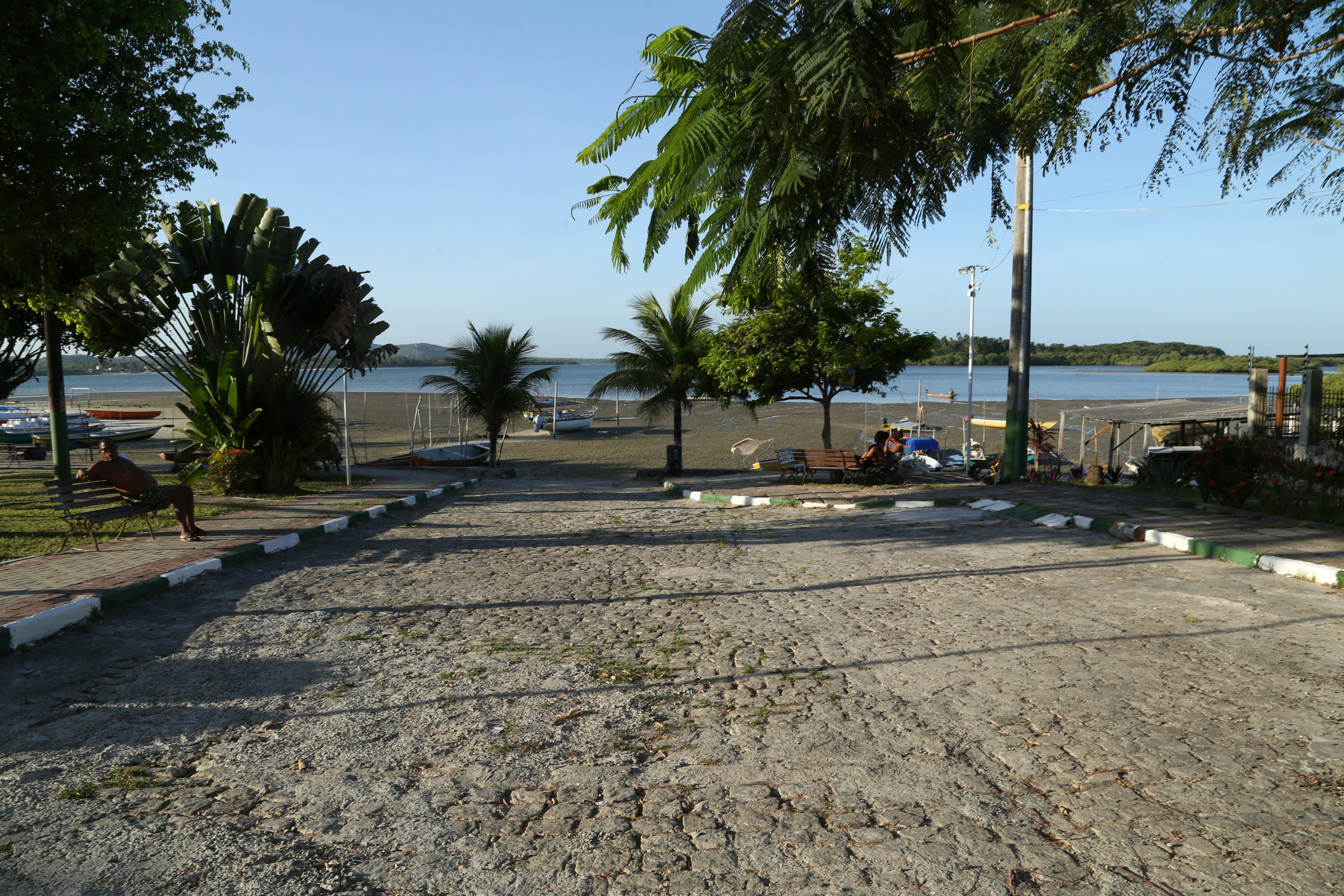Concha: a moeda que mudou destino de pescadores e driblou crise em ilha na Bahia