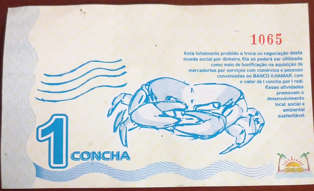 Concha: a moeda que mudou destino de pescadores e driblou crise em ilha na Bahia