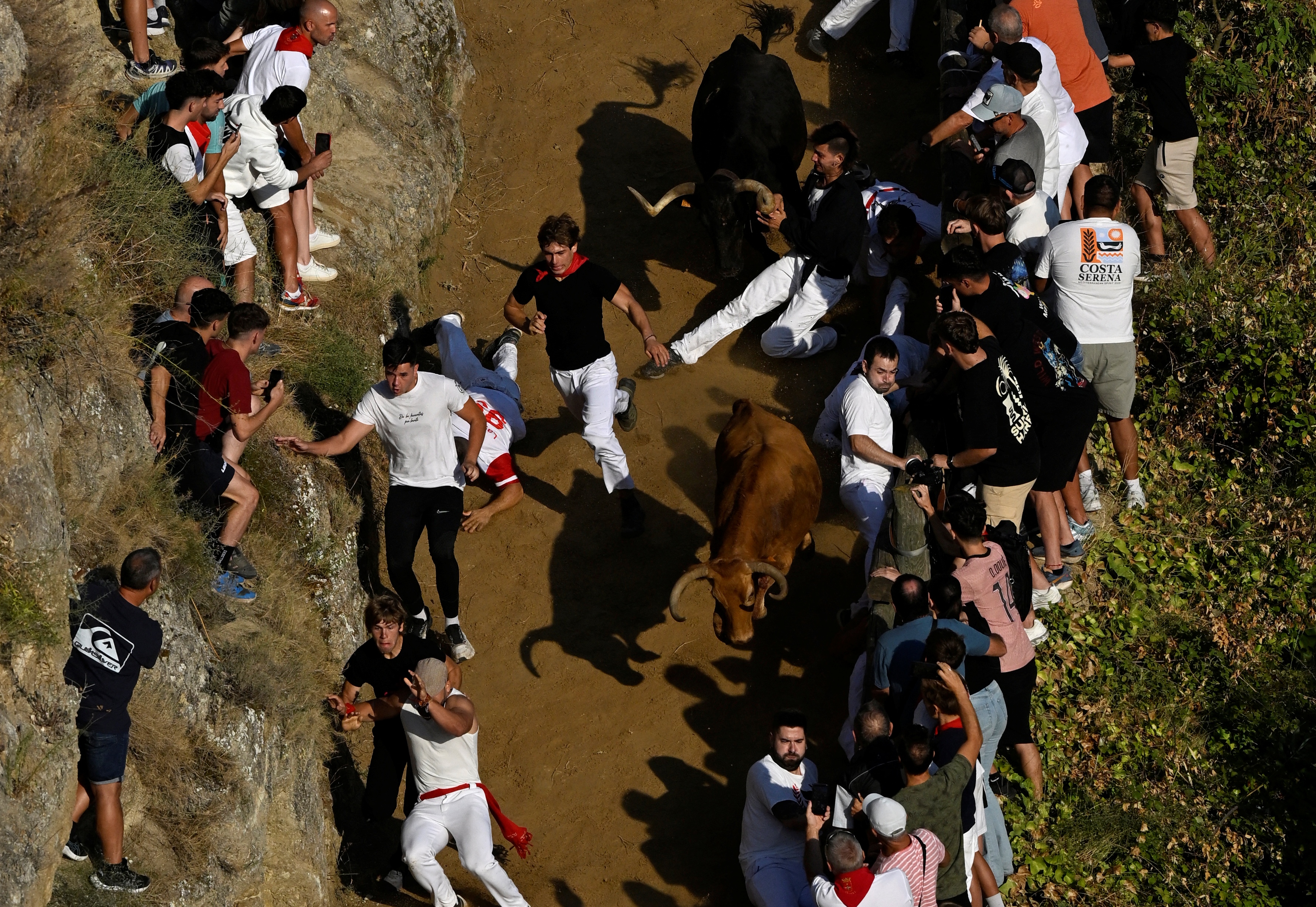 Os participantes do Encierro del Pilón precisam correr diante das novilhas para guiá-las por um caminho estreito e em declive, com a parede da montanha de um lado e um precipício do outro.