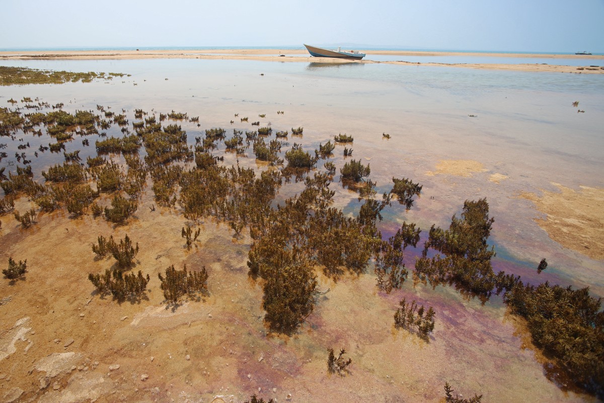 Mancha de óleo ao longo da costa sul da ilha de Qeshm, no Irã, em 13 de agosto de 2026.