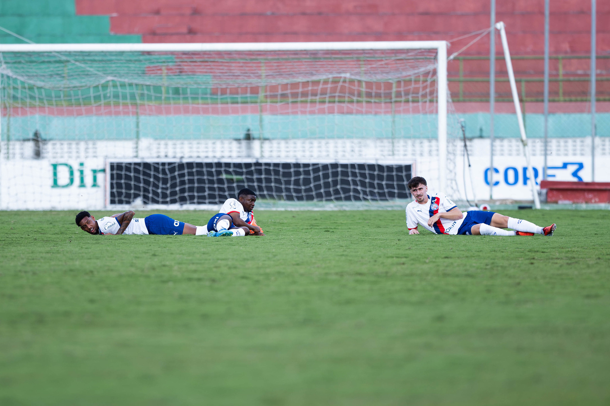 Ataque de abelhas parou o jogo