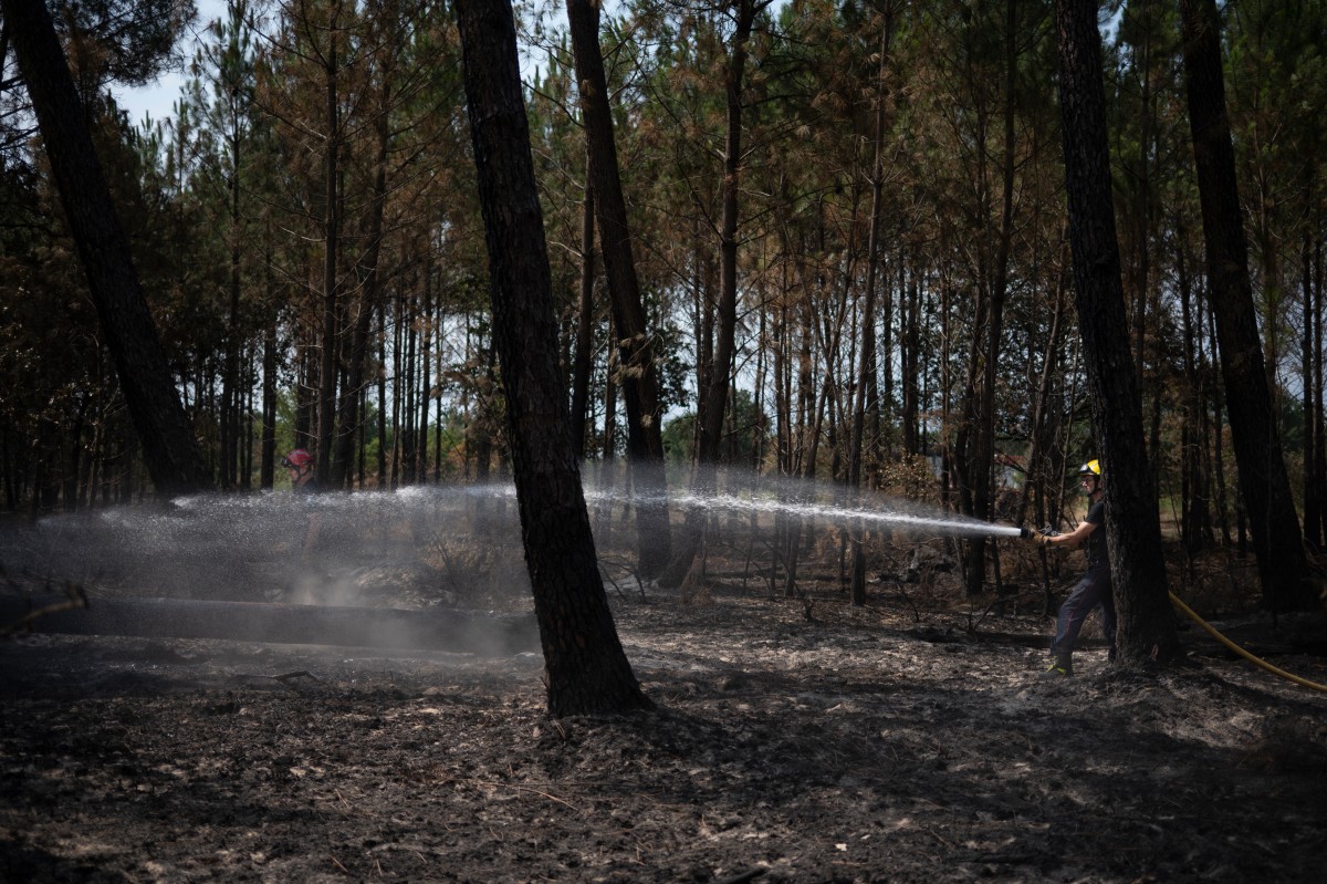 O serviço regional de bombeiros declarou-se "razoavelmente otimista", uma vez que o incêndio, iniciado há uma semana, não avançou além dos 42.000 hectares — uma área maior que a cidade americana de Detroit — desde o fim de semana.