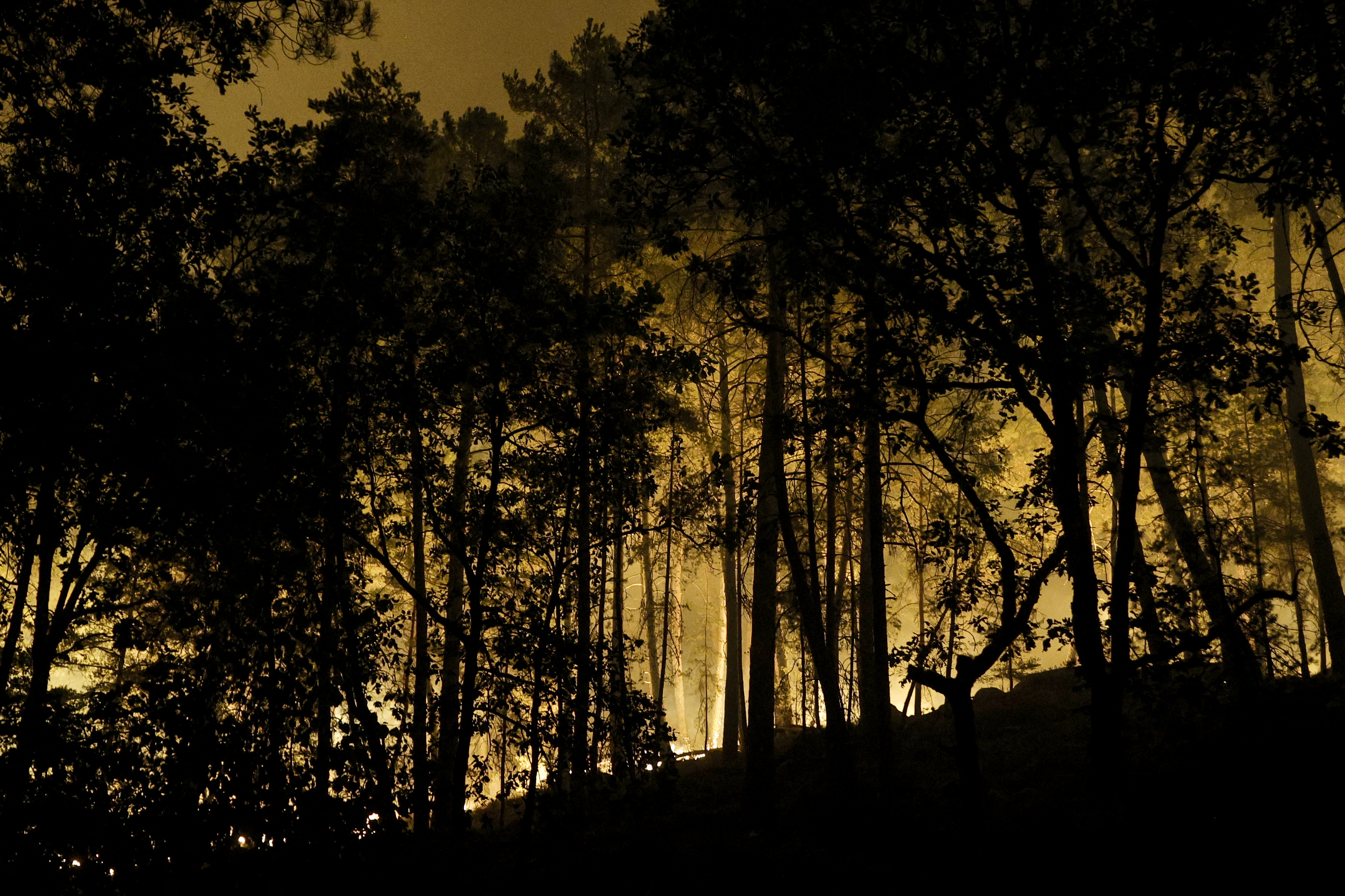 Chamas se elevam na Floresta de Fontainebleau após o início de um incêndio florestal no fim da tarde de 12 de julho de 2026. O incêndio que consome a floresta de Fontainebleau, ao sul da região de Paris, é de "magnitude excepcional", afirmou o subprefeito da área.