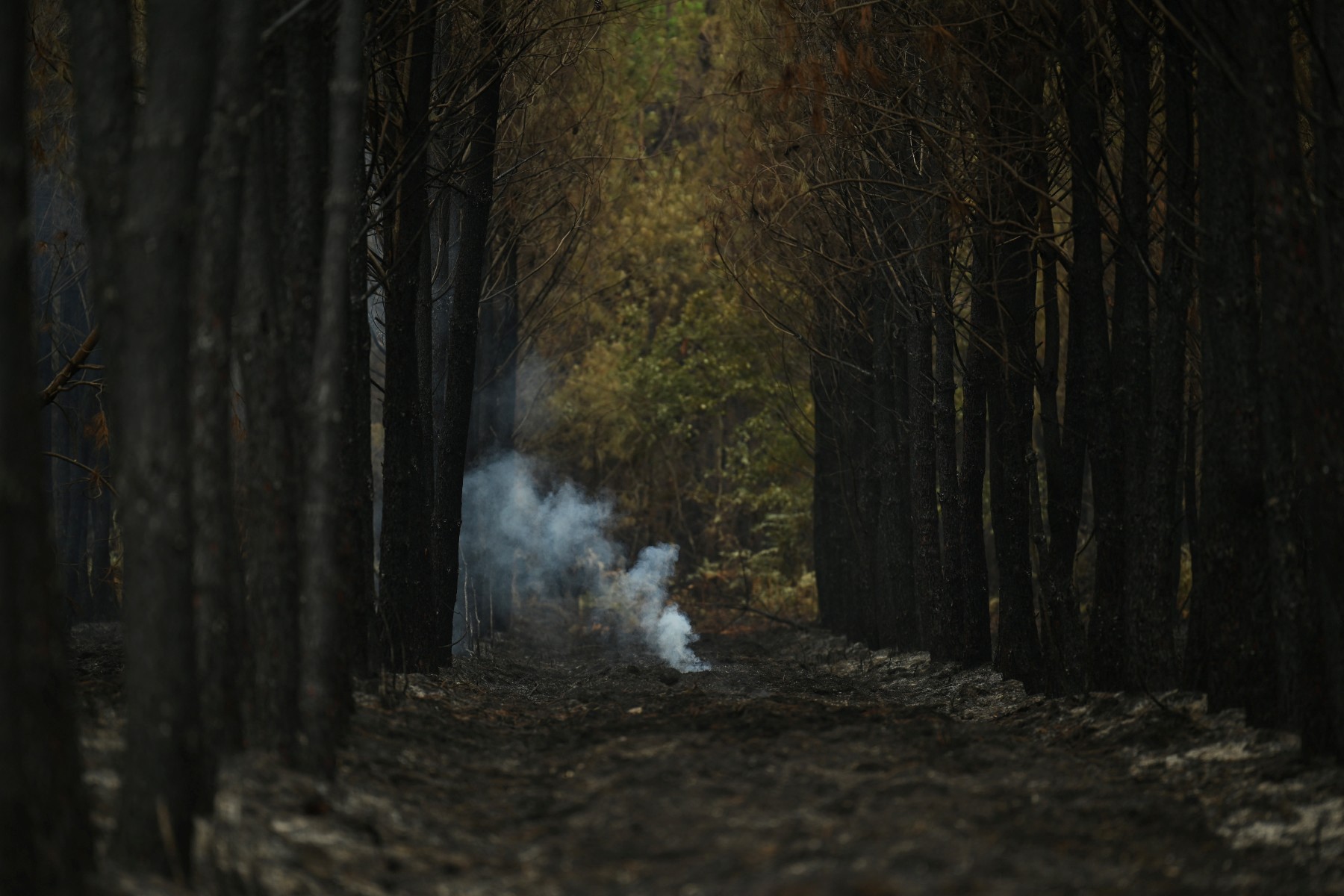 Esta fotografia mostra fumaça subindo de uma área florestal queimada após um incêndio florestal perto de Luglon, no sudoeste da França, em 16 de agosto de 2026.