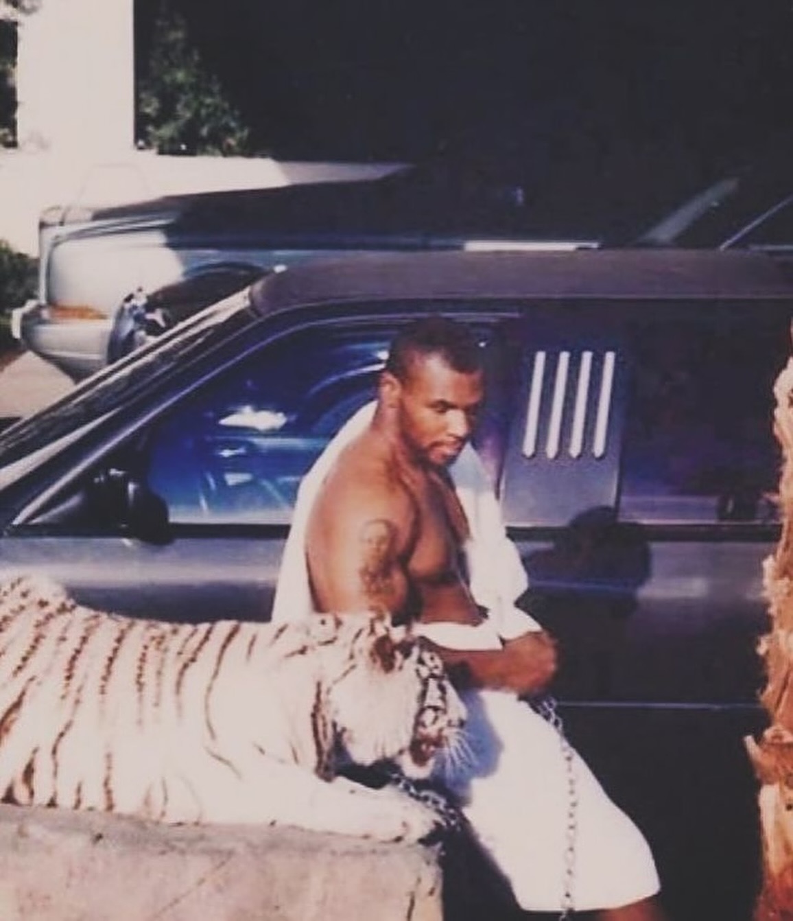 Pet de R$ 400 mil: relembre a história maluca de Mike Tyson e sua tigresa