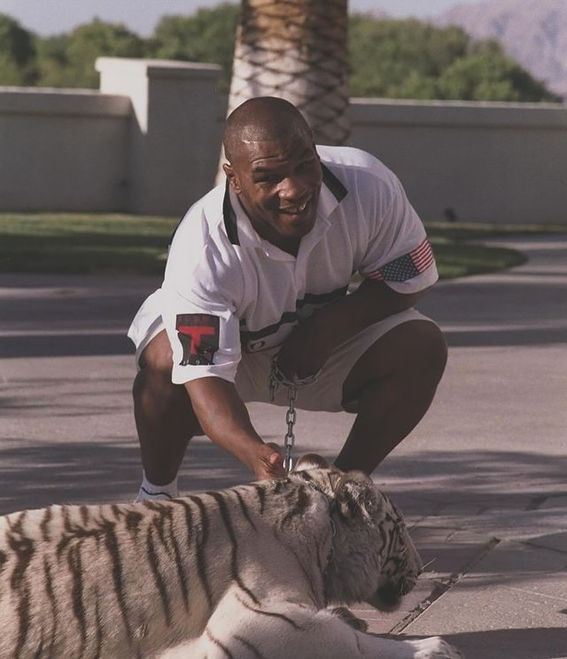 Pet de R$ 400 mil: relembre a história maluca de Mike Tyson e sua tigresa