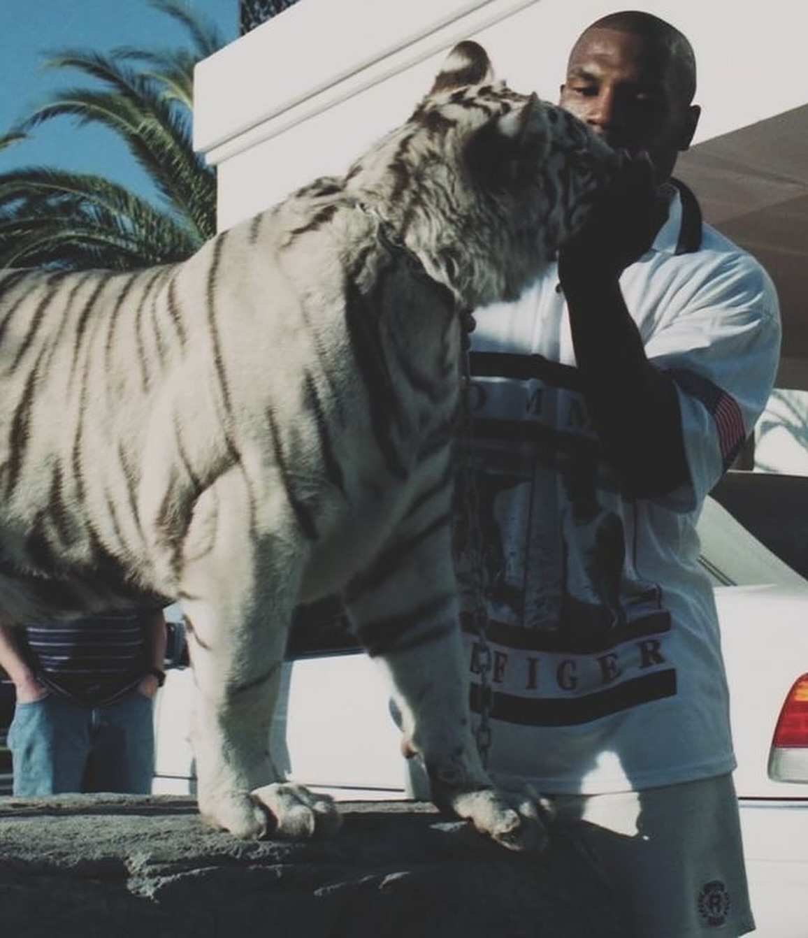 Pet de R$ 400 mil: relembre a história maluca de Mike Tyson e sua tigresa