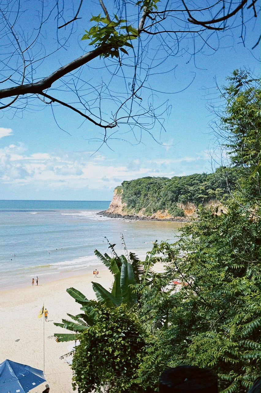 Praia da Pipa: um paraíso com falésias e golfinhos no litoral do Nordeste