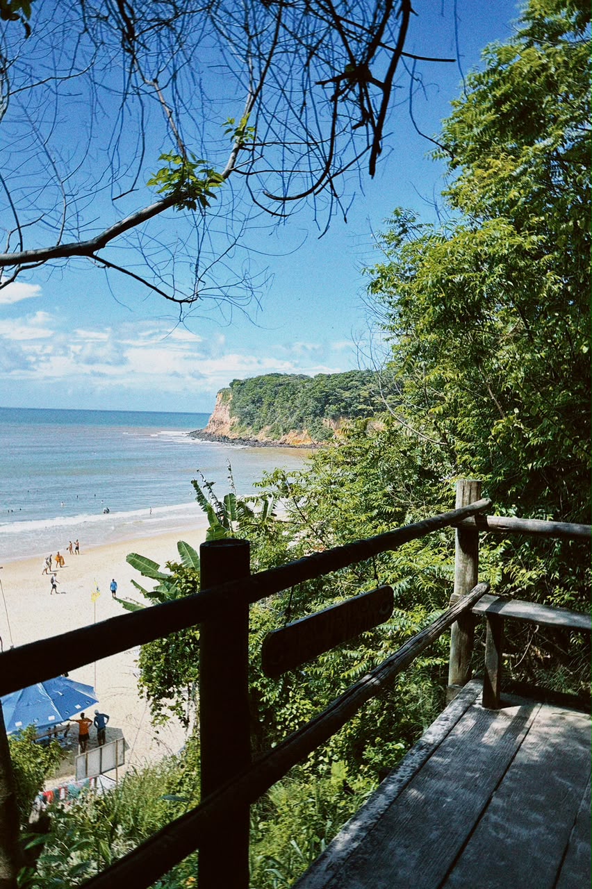 Praia da Pipa: um paraíso com falésias e golfinhos no litoral do Nordeste