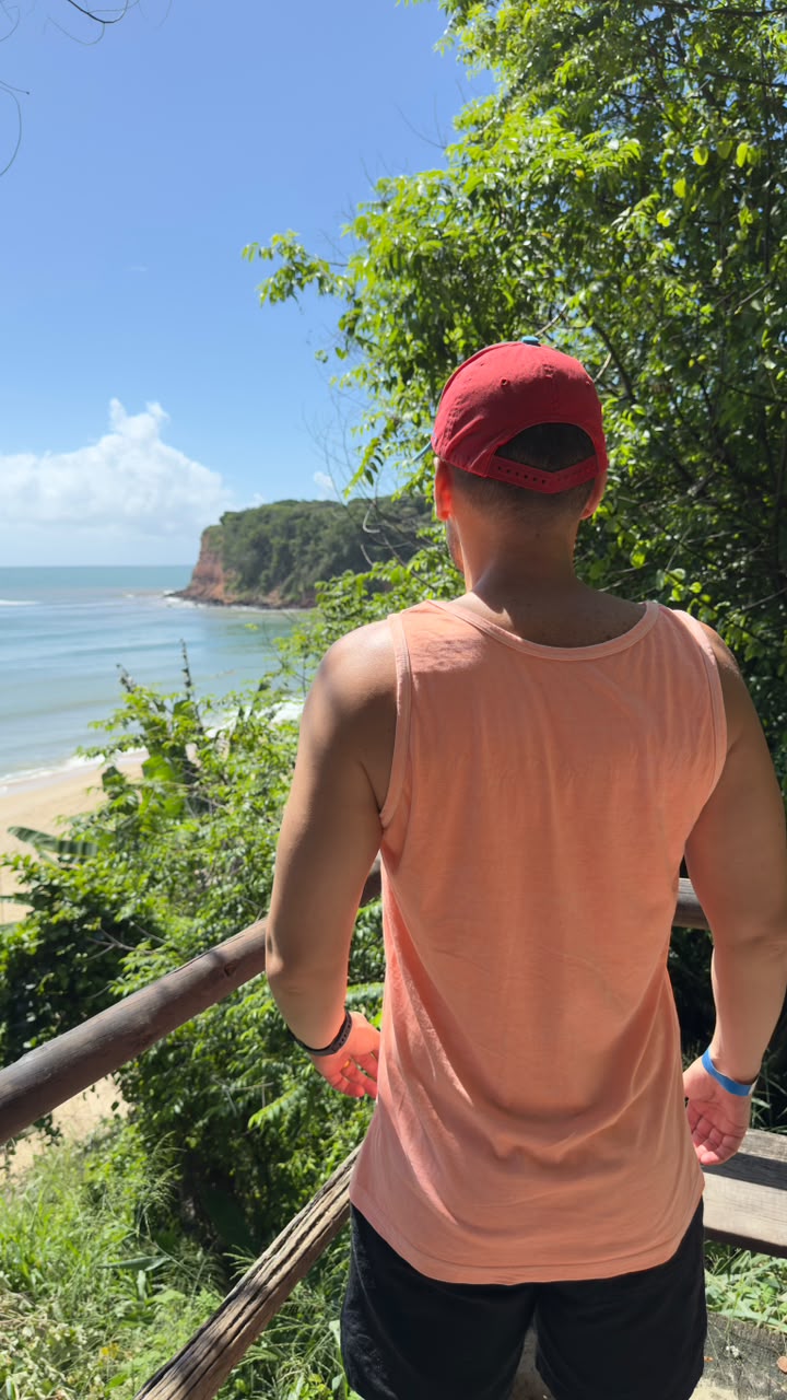 Praia da Pipa: um paraíso com falésias e golfinhos no litoral do Nordeste