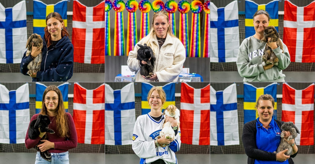 Um coelho salta sobre um obstáculo enquanto seu tratador o guia durante a competição de salto em distância no Campeonato Europeu de Salto de Coelhos em Lysekil, Suécia, em 9 de outubro de 2026.