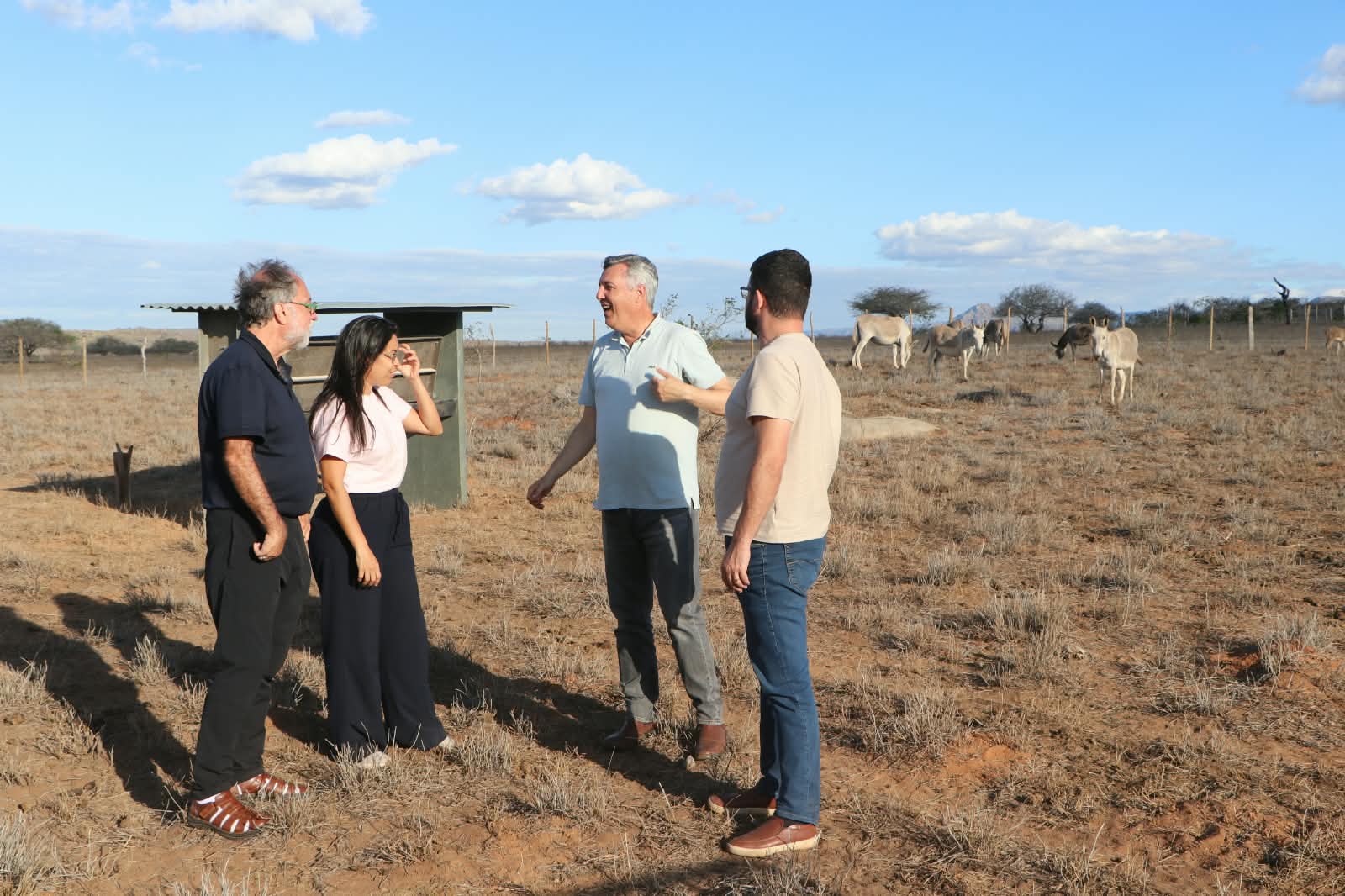 Jegue Land: fazenda na Bahia aposta na ciência para valorizar jumentos