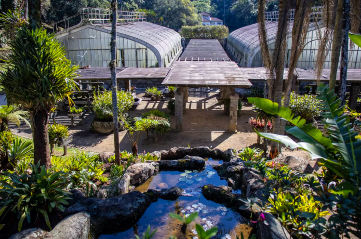 O Complexo do Zoológico de São Paulo oferece combos para visitar cinco atrações em um único dia.