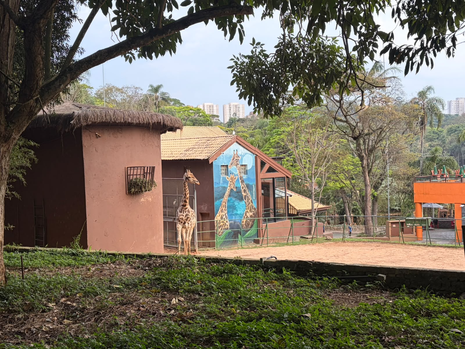 Para as crianças, conhecer o zoológico é uma oportunidade de ver de perto animais que só conheciam pelos livros e desenhos.