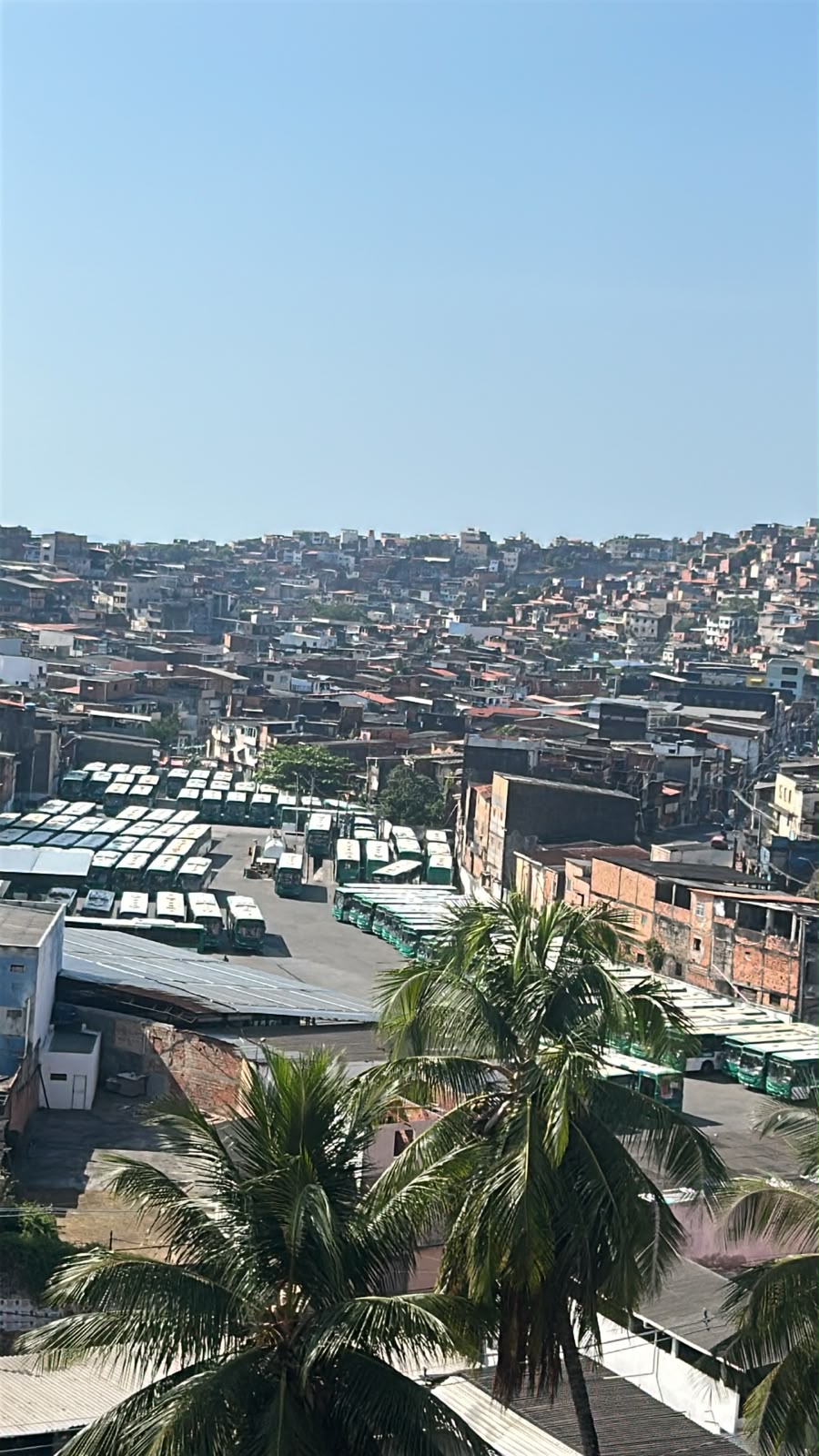 Procon encontra 944 ônibus parados em garagens de Salvador