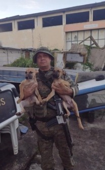 Imagens do resgate dos cães