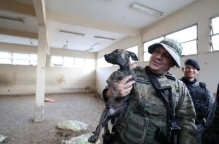 Imagens do resgate dos cães