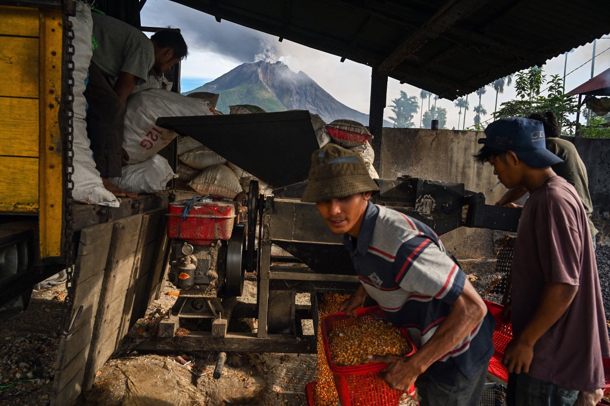 Agricultores trabalham diante do Monte Sinabung, que expele cinzas e fumaça densa, visto de Karo, na província de Sumatra do Norte, no início do dia 2 de setembro de 2026.