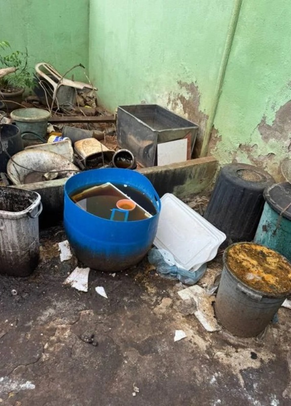 Com baratas congeladas, fábrica de salgados ‘imunda’ é fechada