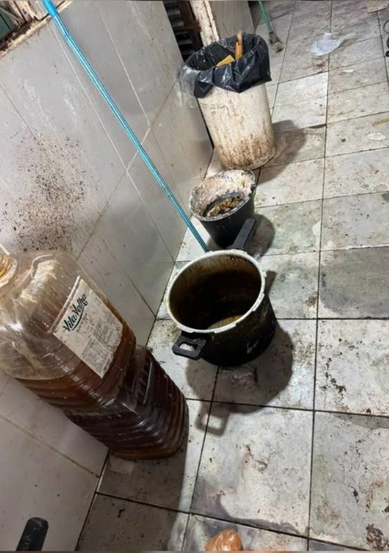 Com baratas congeladas, fábrica de salgados ‘imunda’ é fechada