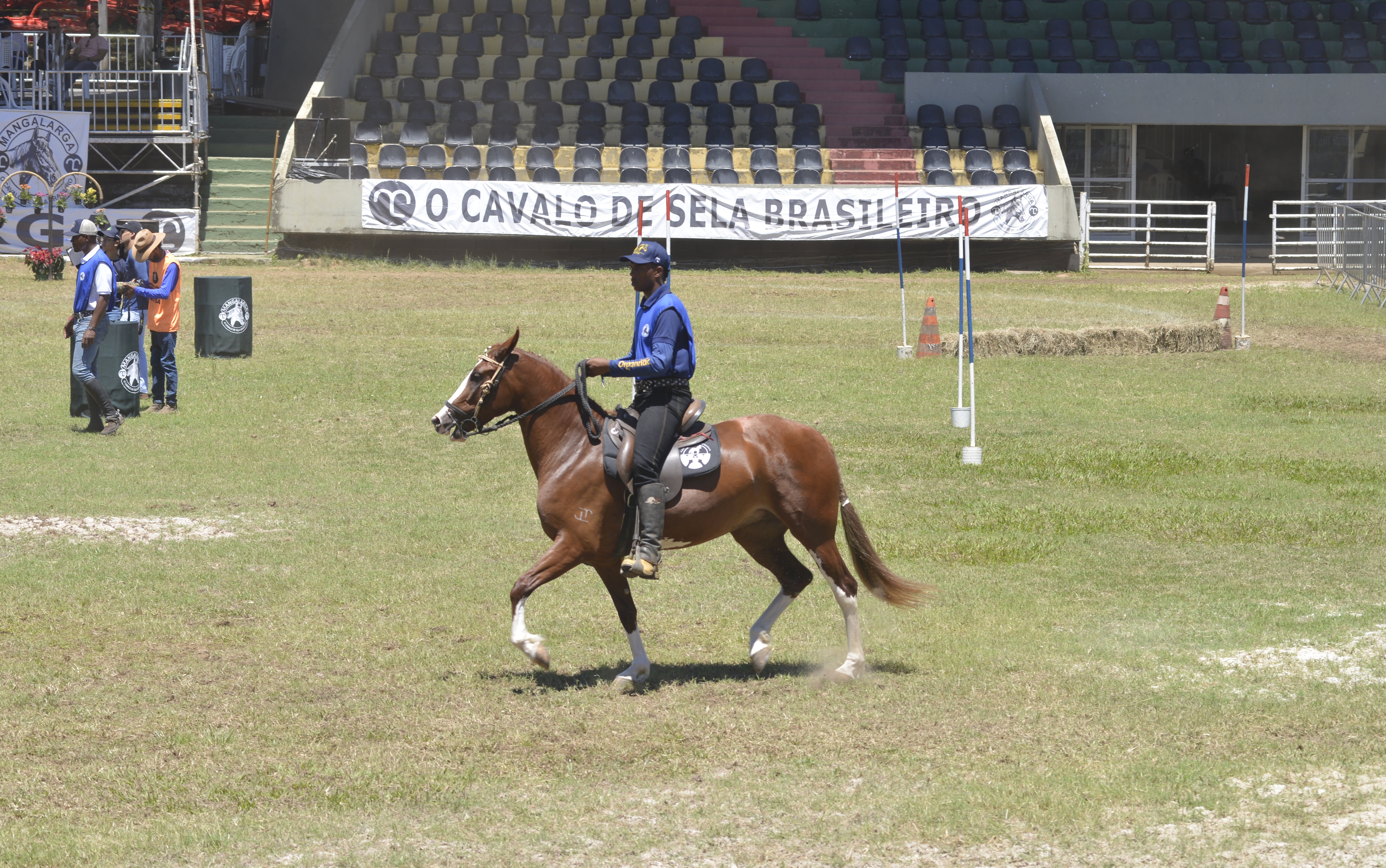 Fenagro 2025: conheça os cavalos que movem o agronegócio baiano