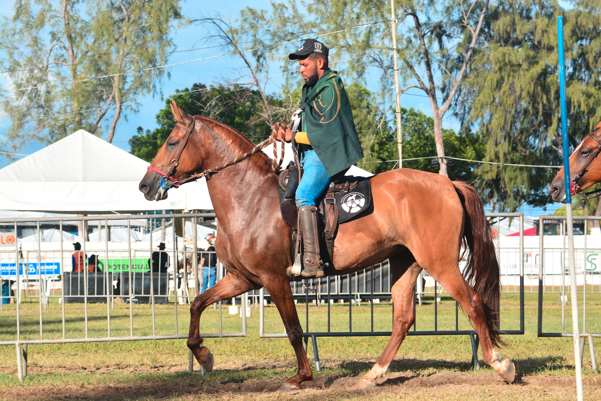 Fenagro 2025: conheça os cavalos que movem o agronegócio baiano