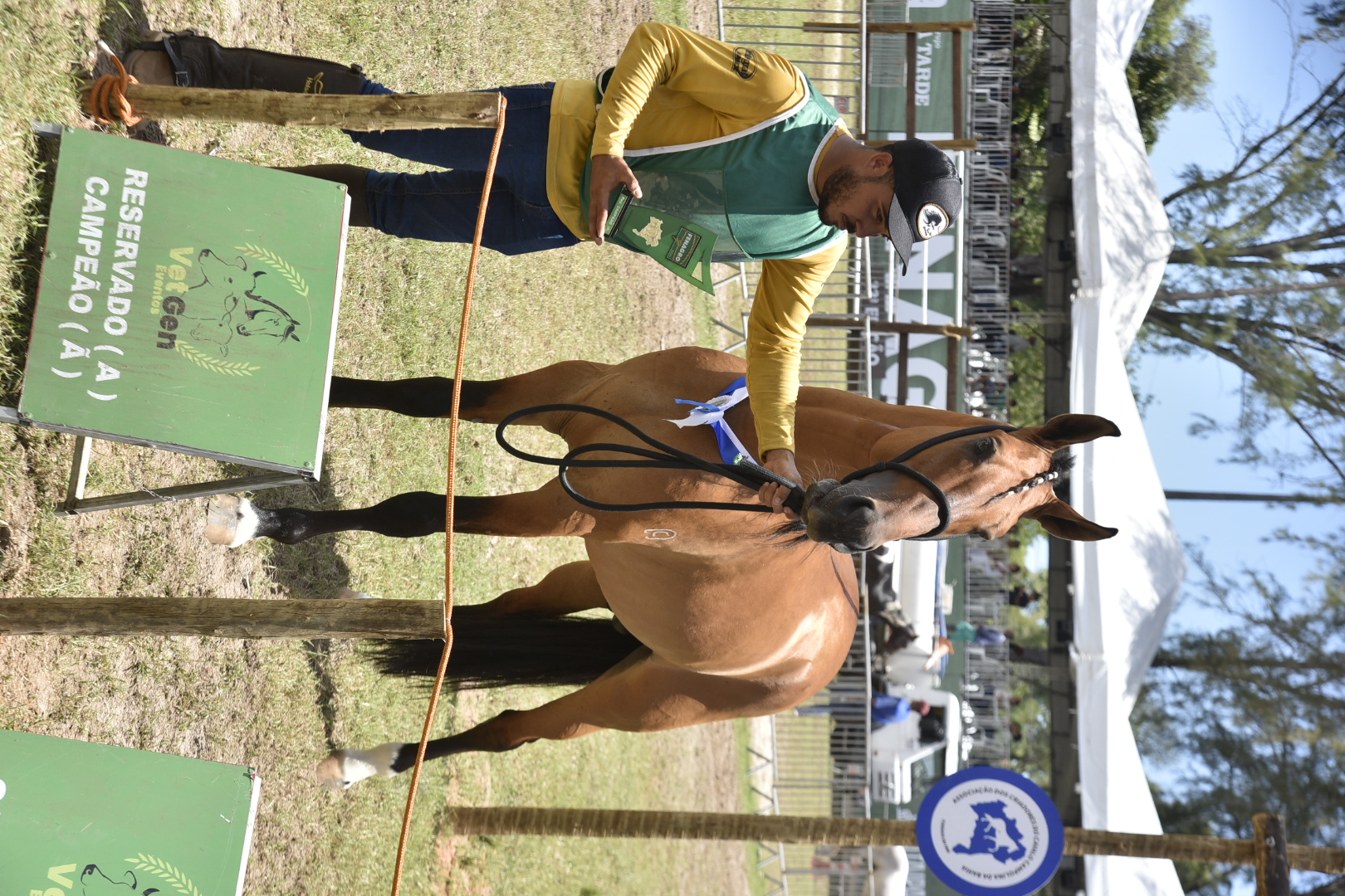 Fenagro 2025: conheça os cavalos que movem o agronegócio baiano