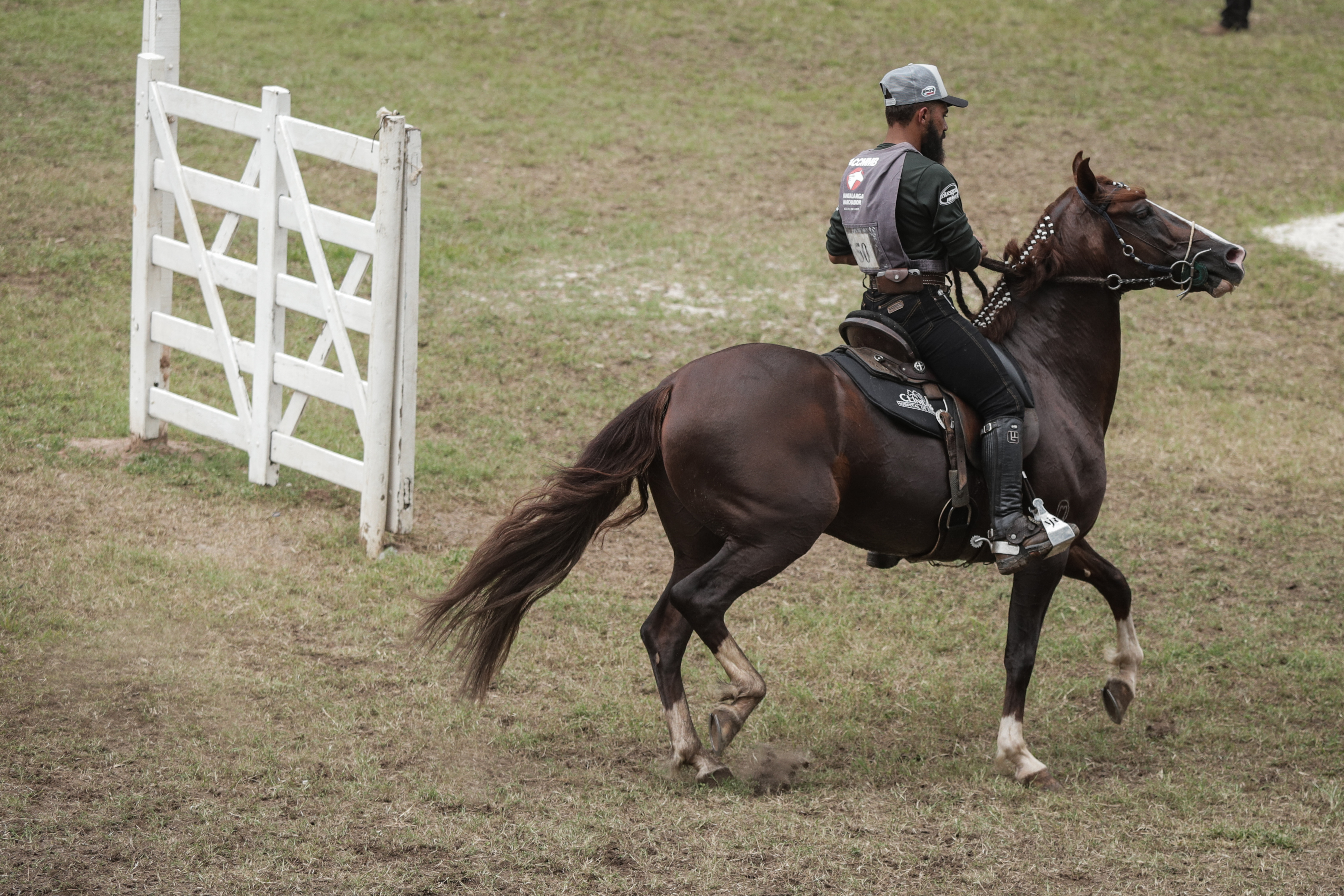 Fenagro 2025: conheça os cavalos que movem o agronegócio baiano