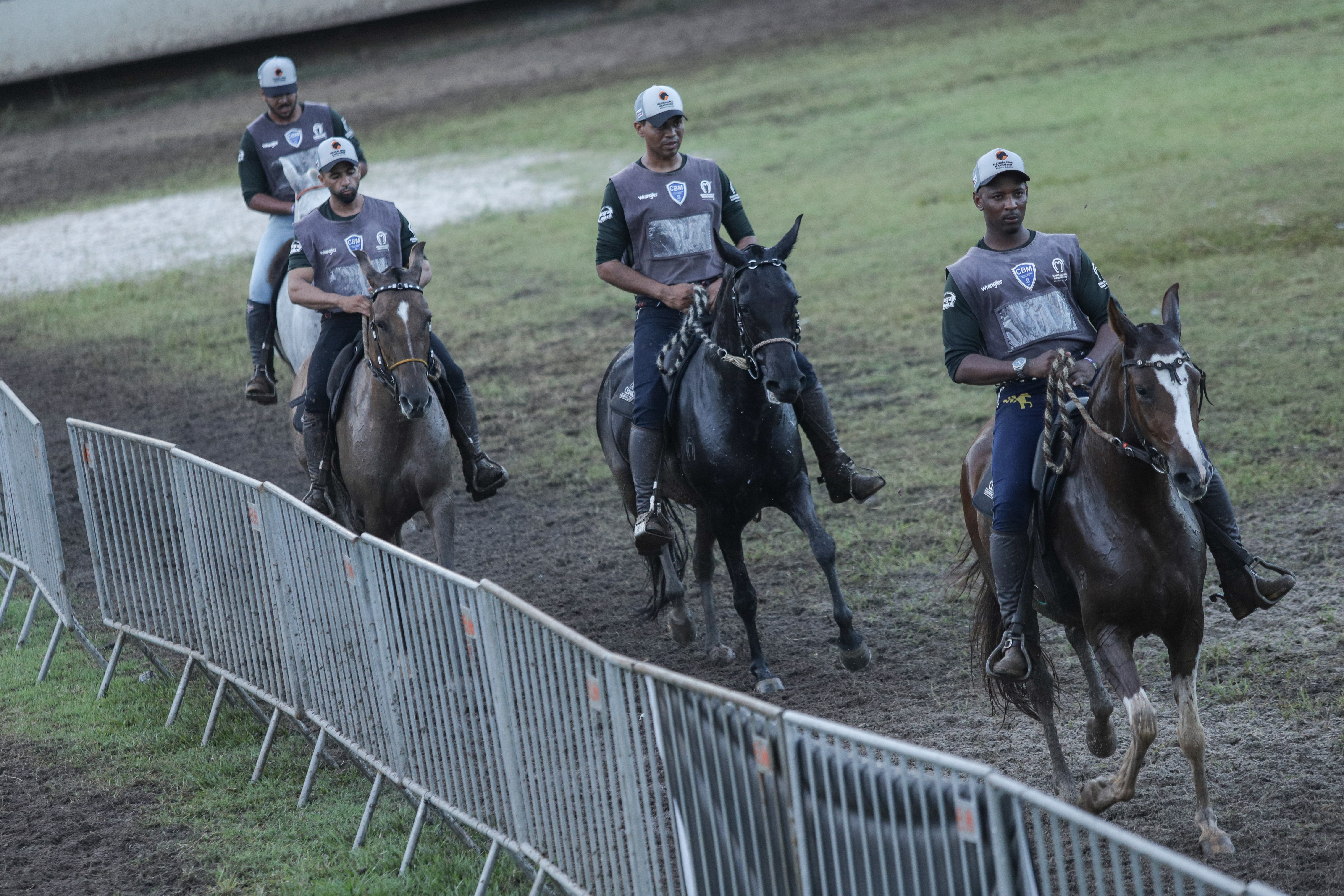 Fenagro 2025: conheça os cavalos que movem o agronegócio baiano