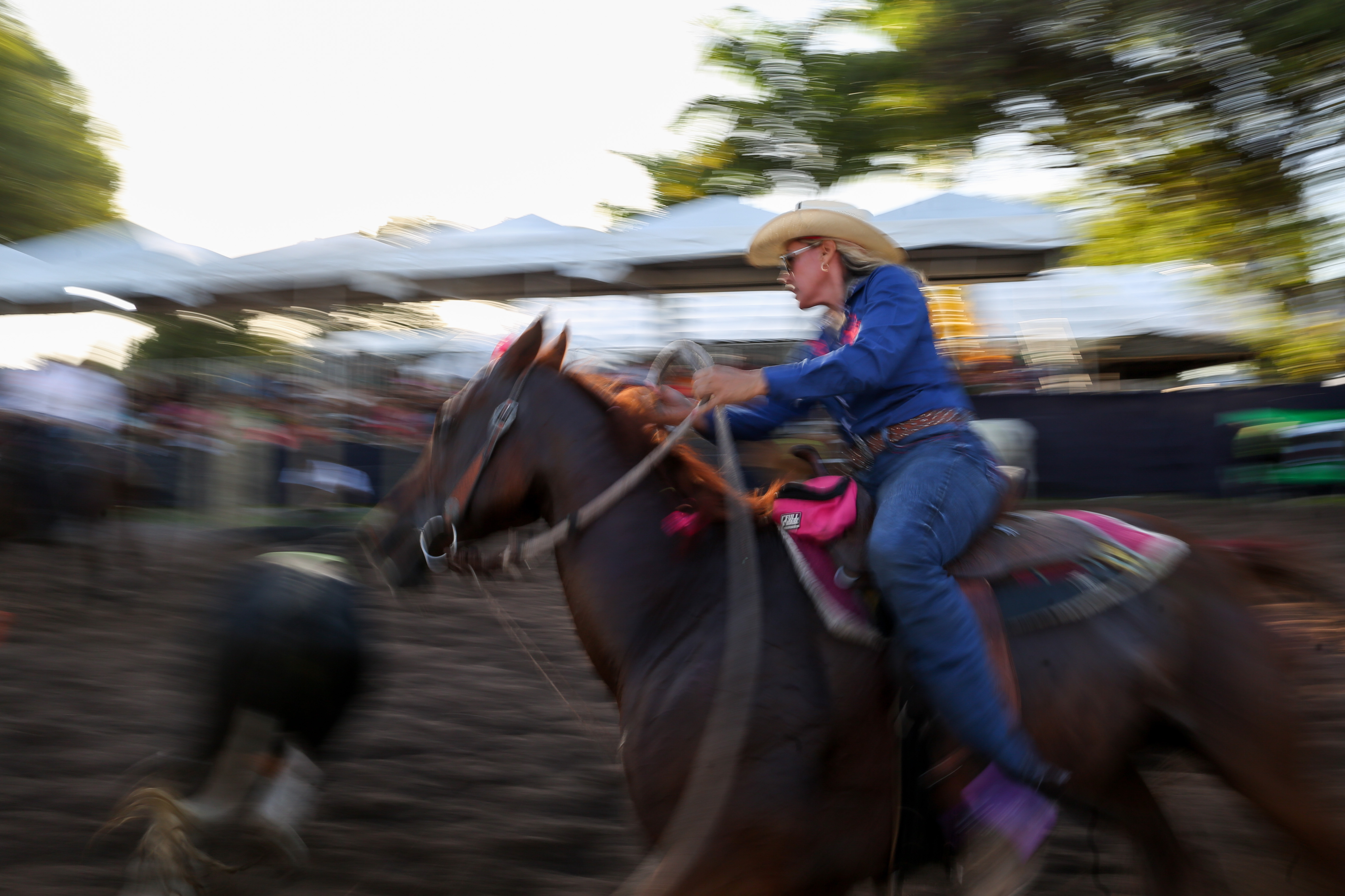 Fenagro 2025: conheça os cavalos que movem o agronegócio baiano