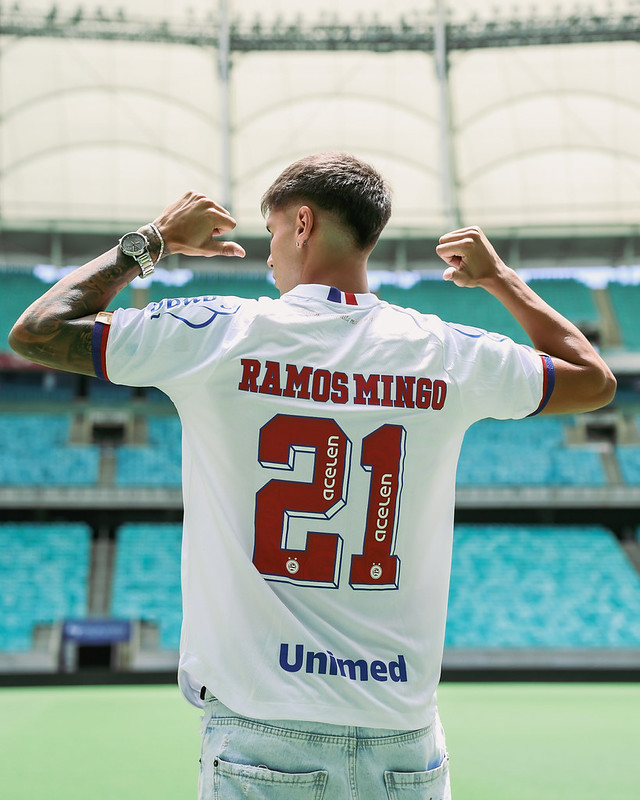 Altos, baixos e final feliz (?): a retrospectiva do Bahia em 2025