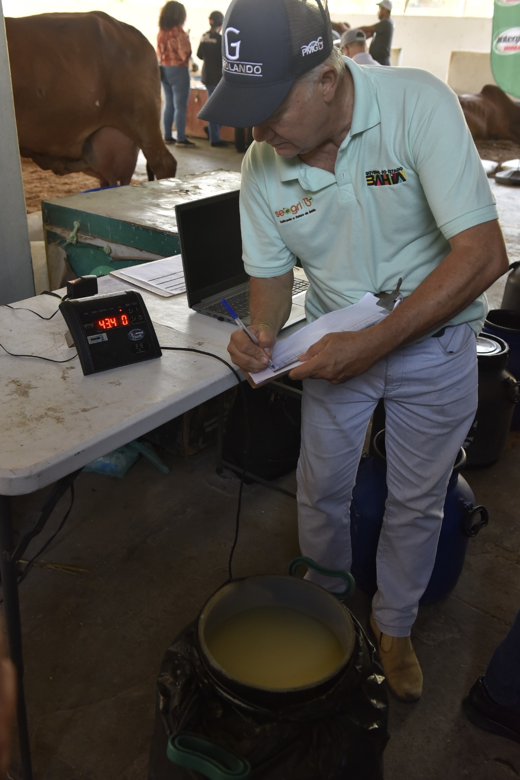 Inacreditável! Vaca ultrapassa 100 kg de leite e quebra recorde