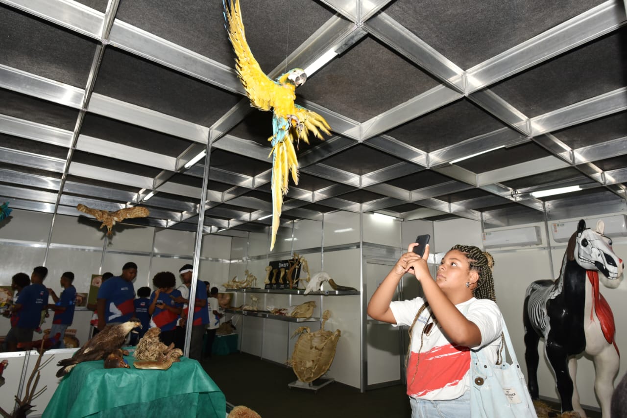 Leão, vísceras e ciência: museu mostra como são os animais por dentro