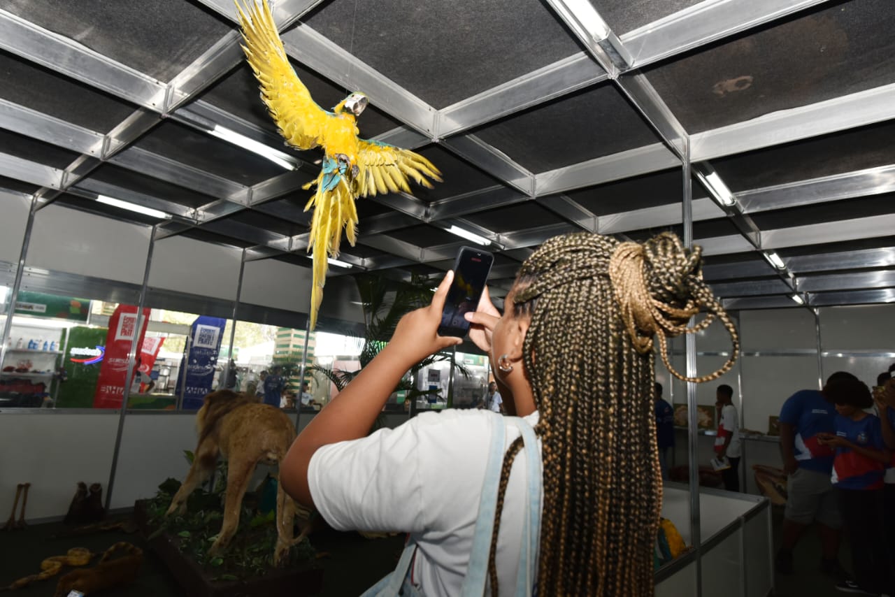 Leão, vísceras e ciência: museu mostra como são os animais por dentro